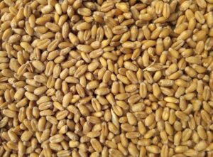 T45, T55, T65 : Quelle Farine Utiliser en Pâtisserie ?